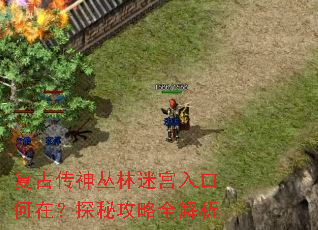 复古传神丛林迷宫入口何在?探秘攻略全解析 复古传神丛林迷宫入口何在?探秘攻略全解析