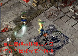 复古传神丛林迷宫入口何在?探秘攻略全解析 复古传神丛林迷宫入口何在?探秘攻略全解析