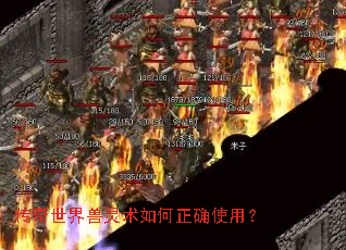 传奇世界兽灵术如何正确使用? 传奇世界兽灵术如何正确使用?