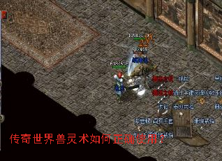 传奇世界兽灵术如何正确使用? 传奇世界兽灵术如何正确使用?