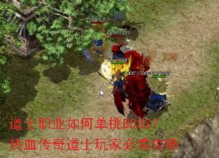 ��ʿְҵ��ε���BOSS����Ѫ�����ʿ��ұؿ�����