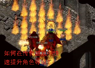 ����ڴ�����Ϸ�п���������ɫ�ȼ���