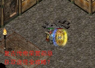 ���Ŵ�������ѫ�»�ȡ;��ȫ���ԣ�