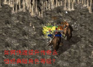 如何快速提升传奇永恒经典版角色等级? 如何快速提升传奇永恒经典版角色等级?
