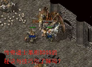 �����ʿ��ˢBOSS���ؾ��뼼�����˽���