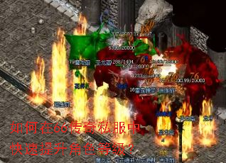 如何在66传奇私服中快速提升角色等级? 如何在66传奇私服中快速提升角色等级?