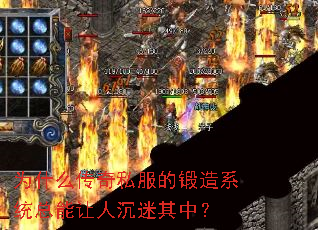 Ϊʲô����˽���Ķ���ϵͳ�������˳������У�