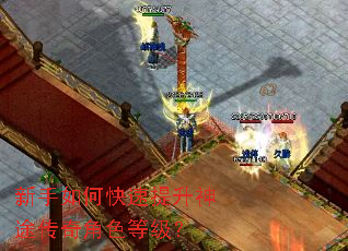 新手如何快速提升神途传奇角色等级? 新手如何快速提升神途传奇角色等级?