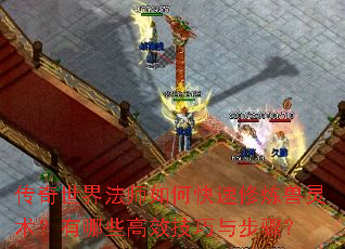 传奇世界法师如何快速修炼兽灵术?有哪些高效技巧与步骤? 传奇世界法师如何快速修炼兽灵术?有哪些高效技巧与步骤?