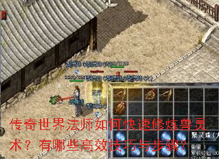 传奇世界法师如何快速修炼兽灵术?有哪些高效技巧与步骤? 传奇世界法师如何快速修炼兽灵术?有哪些高效技巧与步骤?