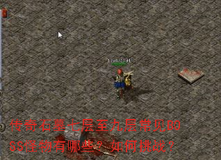 ����ʯĹ�߲����Ų㳣��BOSS��������Щ�������ս��