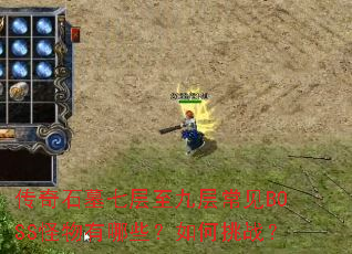 ����ʯĹ�߲����Ų㳣��BOSS��������Щ�������ս��