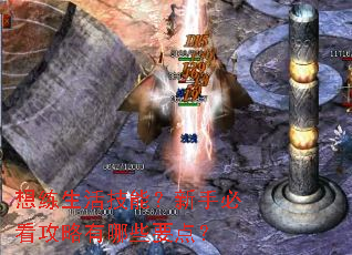 想练生活技能?新手必看攻略有哪些要点? 想练生活技能?新手必看攻略有哪些要点?