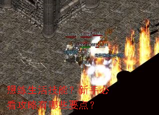 想练生活技能?新手必看攻略有哪些要点? 想练生活技能?新手必看攻略有哪些要点?