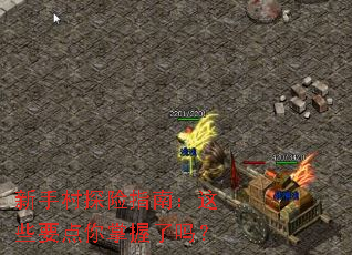 新手村探险指南:这些要点你掌握了吗? 新手村探险指南:这些要点你掌握了吗?