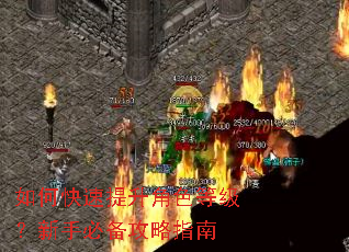 如何快速提升角色等级?新手必备攻略指南 如何快速提升角色等级?新手必备攻略指南