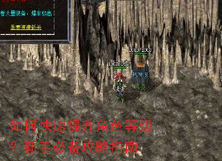 如何快速提升角色等级?新手必备攻略指南 如何快速提升角色等级?新手必备攻略指南