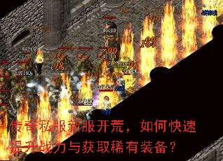 传奇私服新服开荒,如何快速提升战力与获取稀有装备? 传奇私服新服开荒,如何快速提升战力与获取稀有装备?