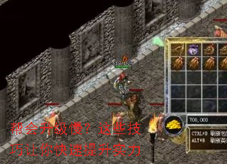 帮会升级慢?这些技巧让你快速提升实力 帮会升级慢?这些技巧让你快速提升实力