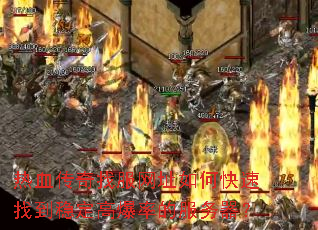 热血传奇找服网址如何快速找到稳定高爆率的服务器? 热血传奇找服网址如何快速找到稳定高爆率的服务器?
