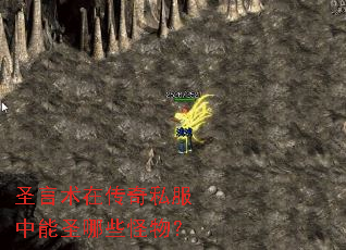 圣言术在传奇私服中能圣哪些怪物? 圣言术在传奇私服中能圣哪些怪物?