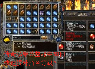 传奇私服公益服中如何快速提升角色等级? 传奇私服公益服中如何快速提升角色等级?
