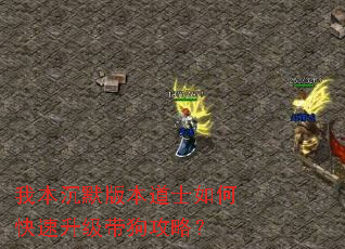 我本沉默版本道士如何快速升级带狗攻略? 我本沉默版本道士如何快速升级带狗攻略?