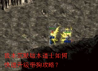 我本沉默版本道士如何快速升级带狗攻略? 我本沉默版本道士如何快速升级带狗攻略?