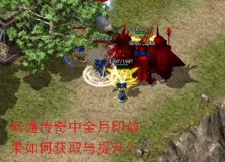 网通传奇中全月印效果如何获取与提升? 网通传奇中全月印效果如何获取与提升?