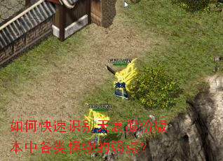 如何快速识别天宸股份版本中各类怪物的弱点? 如何快速识别天宸股份版本中各类怪物的弱点?