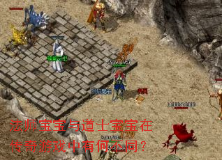 法师宝宝与道士宝宝在传奇游戏中有何不同? 法师宝宝与道士宝宝在传奇游戏中有何不同?
