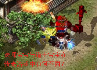 法师宝宝与道士宝宝在传奇游戏中有何不同? 法师宝宝与道士宝宝在传奇游戏中有何不同?