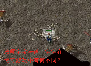 法师宝宝与道士宝宝在传奇游戏中有何不同? 法师宝宝与道士宝宝在传奇游戏中有何不同?