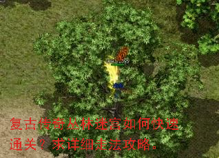 复古传奇丛林迷宫如何快速通关?求详细走法攻略。 复古传奇丛林迷宫如何快速通关?求详细走法攻略。