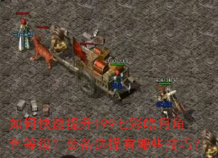 如何快速提升199七彩皓月角色等级?装备选择有哪些技巧? 如何快速提升199七彩皓月角色等级?装备选择有哪些技巧?