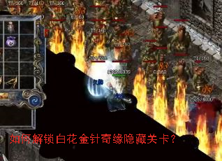 如何解锁白花金针奇缘隐藏关卡? 如何解锁白花金针奇缘隐藏关卡?
