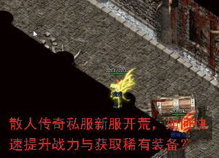 散人传奇私服新服开荒,如何快速提升战力与获取稀有装备? 散人传奇私服新服开荒,如何快速提升战力与获取稀有装备?