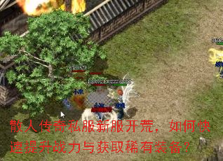 散人传奇私服新服开荒,如何快速提升战力与获取稀有装备? 散人传奇私服新服开荒,如何快速提升战力与获取稀有装备?