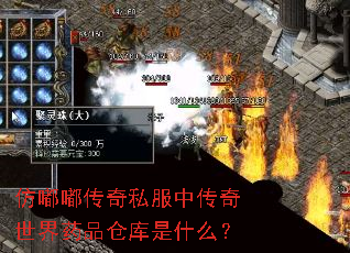 仿嘟嘟传奇私服中传奇世界药品仓库是什么? 仿嘟嘟传奇私服中传奇世界药品仓库是什么?