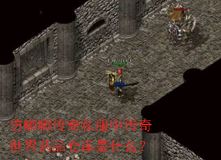 仿嘟嘟传奇私服中传奇世界药品仓库是什么? 仿嘟嘟传奇私服中传奇世界药品仓库是什么?