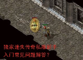 独家迷失传奇私服新手入门常见问题解答? 独家迷失传奇私服新手入门常见问题解答?