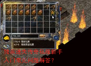 独家迷失传奇私服新手入门常见问题解答? 独家迷失传奇私服新手入门常见问题解答?