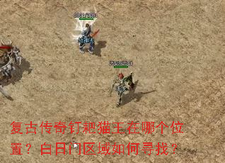 复古传奇钉耙猫王在哪个位置?白日门区域如何寻找? 复古传奇钉耙猫王在哪个位置?白日门区域如何寻找?