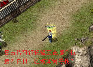 复古传奇钉耙猫王在哪个位置?白日门区域如何寻找? 复古传奇钉耙猫王在哪个位置?白日门区域如何寻找?