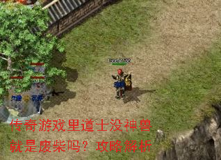 传奇游戏里道士没神兽就是废柴吗?攻略解析 传奇游戏里道士没神兽就是废柴吗?攻略解析