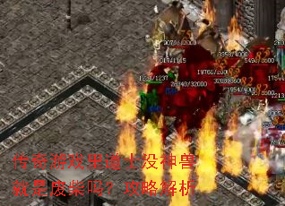传奇游戏里道士没神兽就是废柴吗?攻略解析 传奇游戏里道士没神兽就是废柴吗?攻略解析